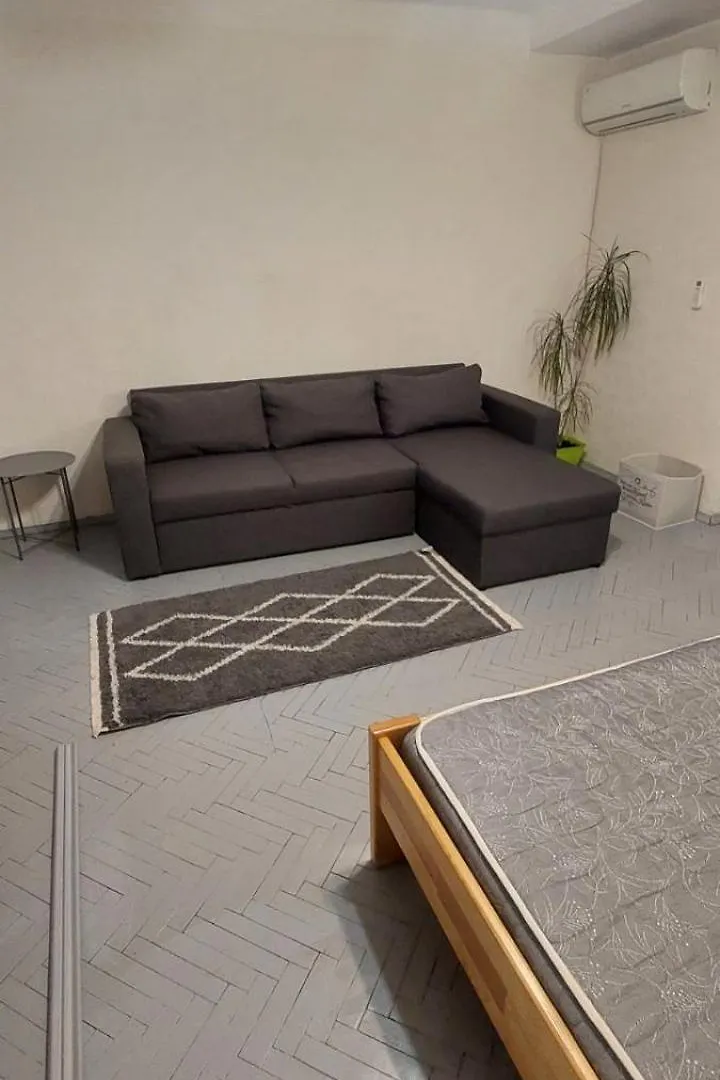 Quiet Luxury Apartment Near The Metro Lukyanovka. 基輔 乌克兰